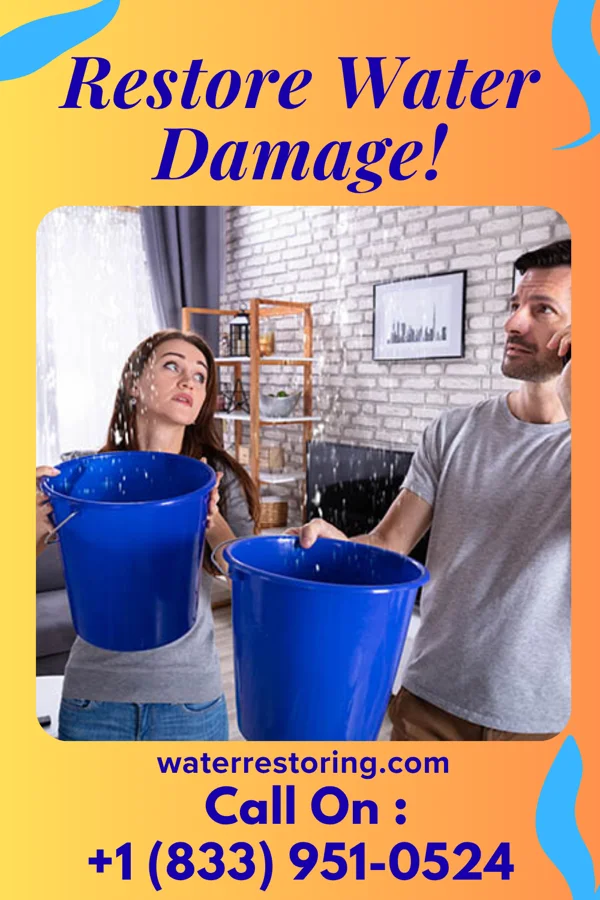 water restoration Direct Flood Mitigation Specialists Redford